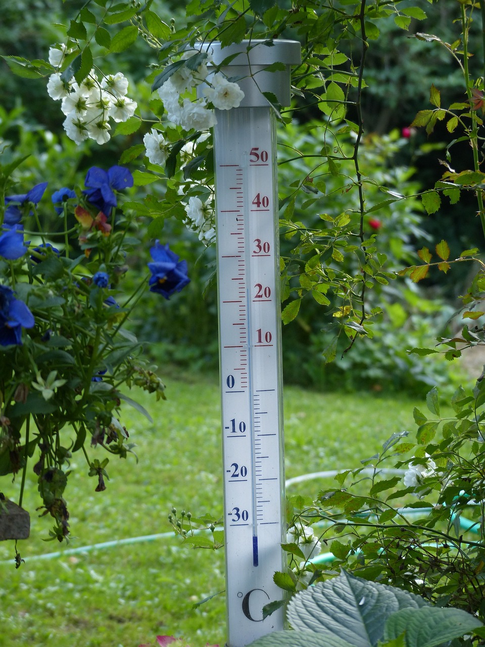 thermometer-g1031d8479_1280